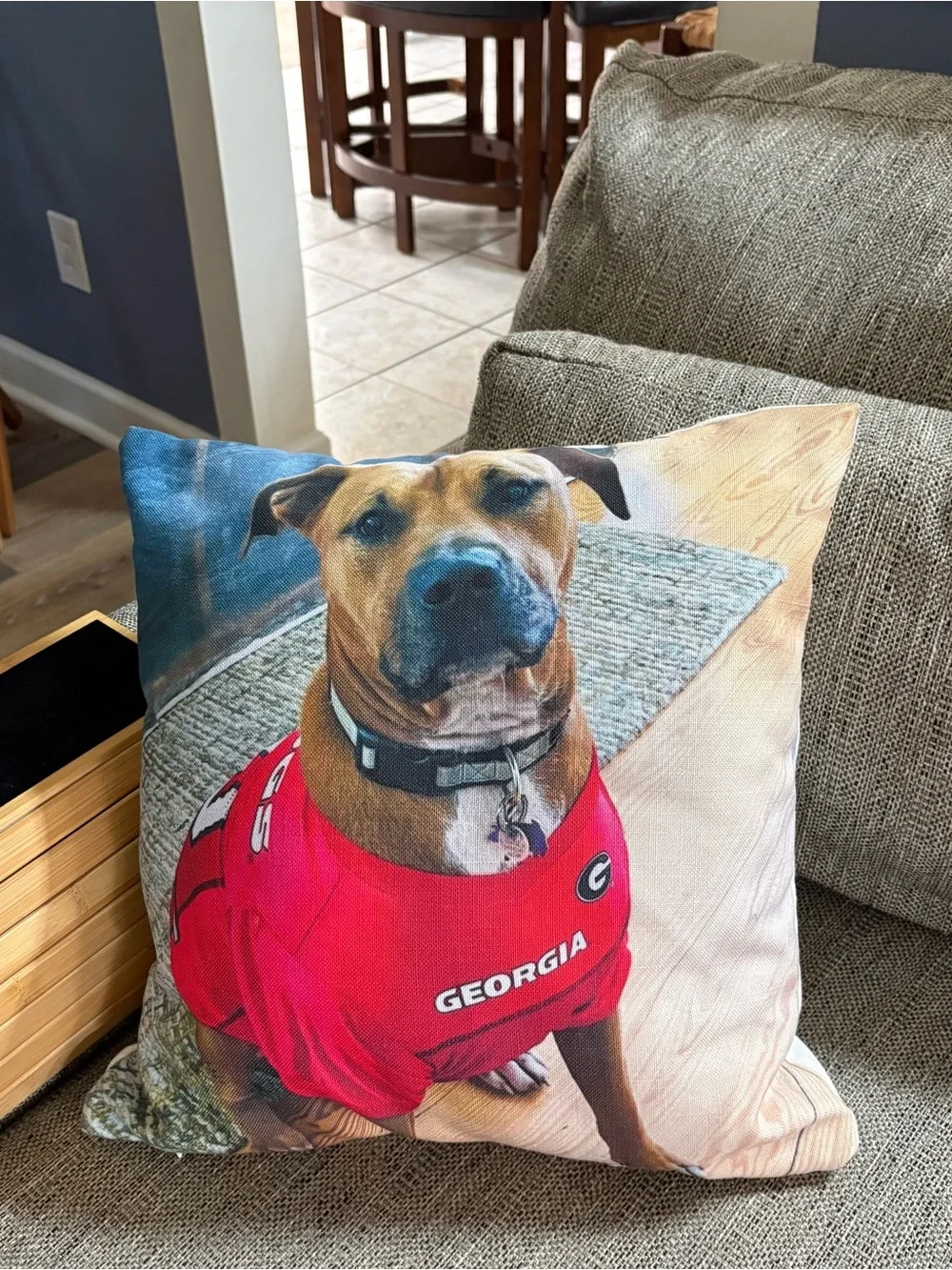 GEORGIA BULLDOGS THROW PILLOW, NEVER USED